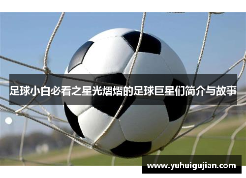 足球小白必看之星光熠熠的足球巨星们简介与故事
